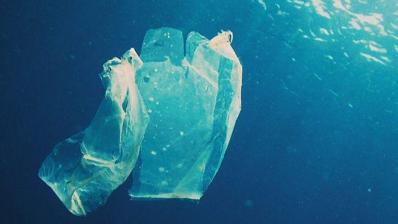 BBC image of plastic bag in water