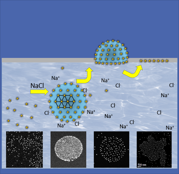 The origin of two-dimensional polymer-grafted Au-nanoparticle lattice 